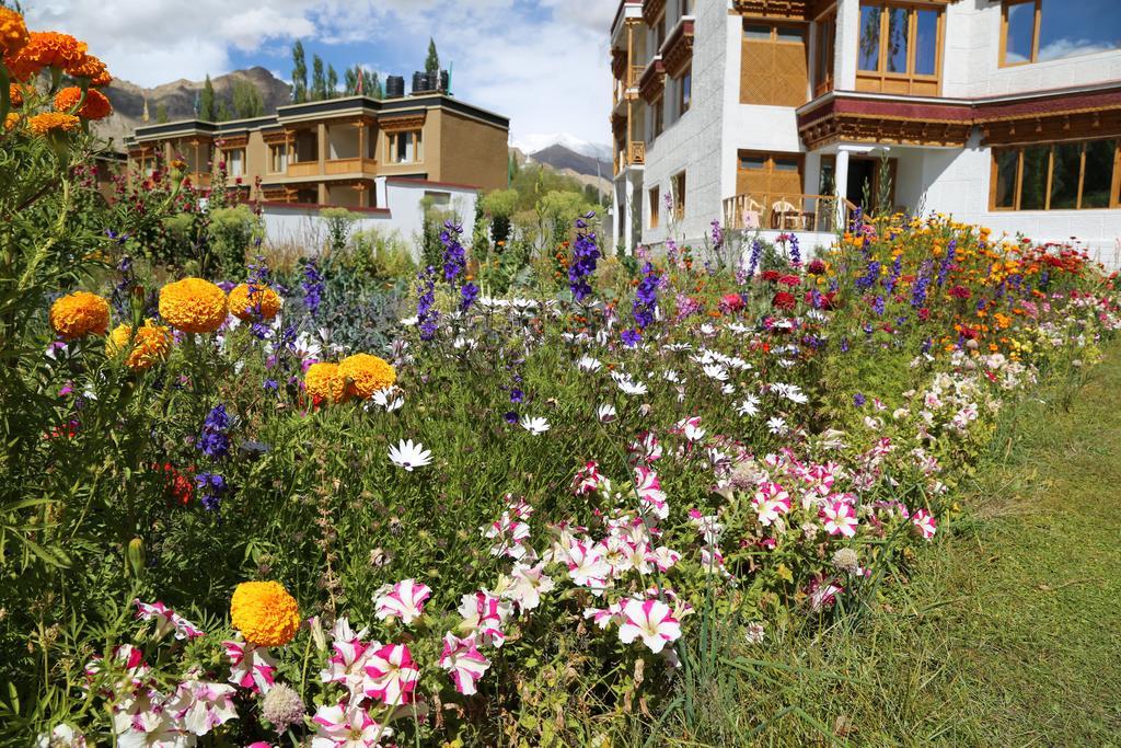 Hotel Ladakh Himalayan Retreat Leh Exterior foto