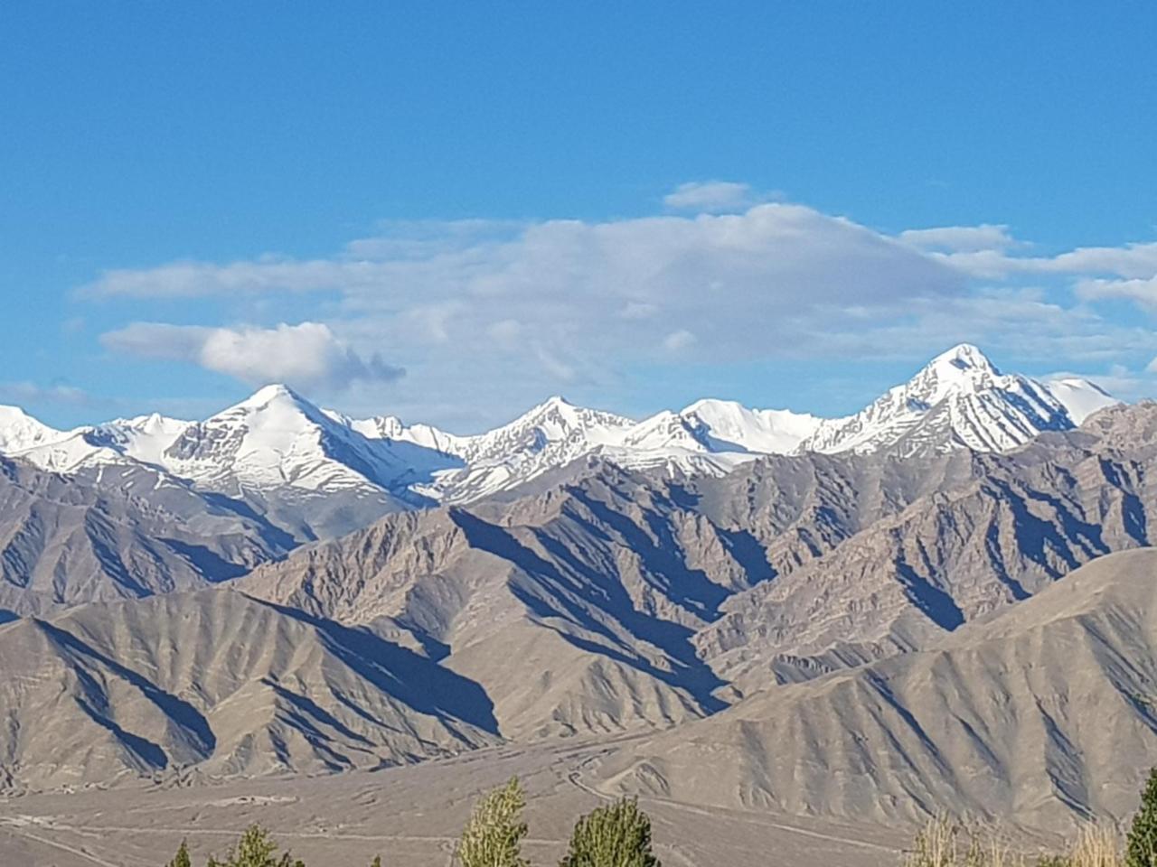 Hotel Ladakh Himalayan Retreat Leh Exterior foto